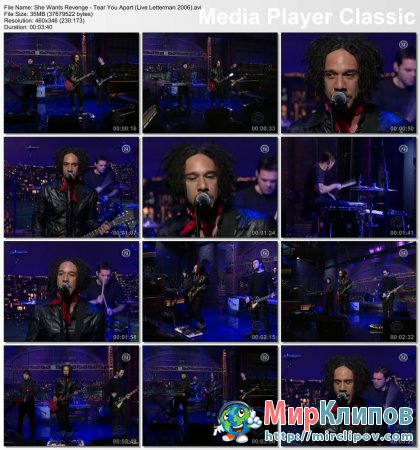 She Wants Revenge - Tear You Apart (Live, Letterman Show, 2006)