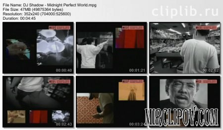 DJ Shadow - Midnight Perfect World