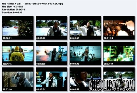 Xzibit - What You See What You Get