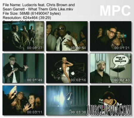 Ludacris feat. Chris Brown and Sean Garrett - What Them Girls Like