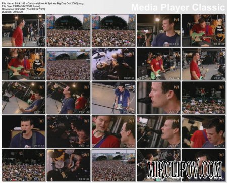 Blink 182 - Carousel (Live At Sydney Big Day Out 2000)