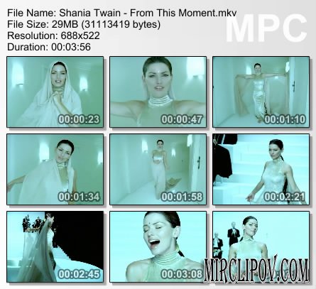 Shania Twain - From This Moment