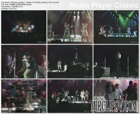 Michael Jackson - Shake Your Body (Live, Victory Tour, LA)