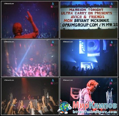 Tim Berg - Seek Bromance (Avicii's Vocal Mix) (Live, Mansion Miami UMF Closing Party, 2011)