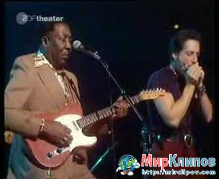 Muddy Waters - Blow Wind Blow (Live)