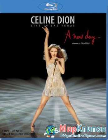 Celine Dion - A New Day (Live, Las Vegas)