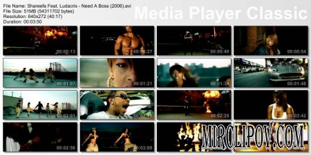 Shareefa Feat. Ludacris - I Need A Boss