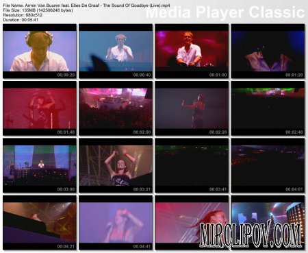 Armin Van Buuren Feat. Elles De Graaf - The Sound Of Goodbye (Live)